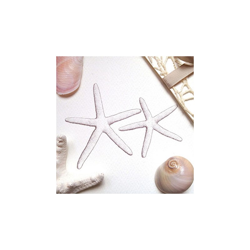 Carta-digitale-per-stampa-elettrofotografica-a-toner