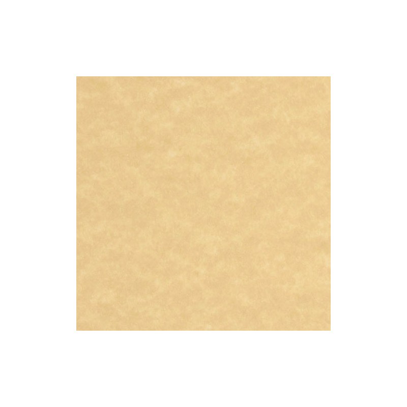 Vendita-ingrosso-colorata-traslucida-per-menu