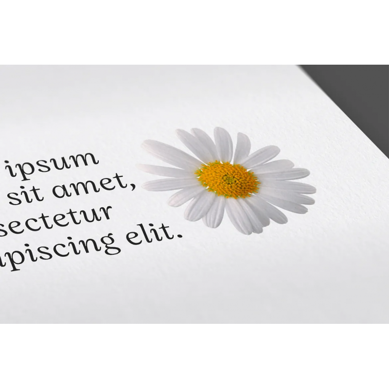 depliant-inviti-brochure
